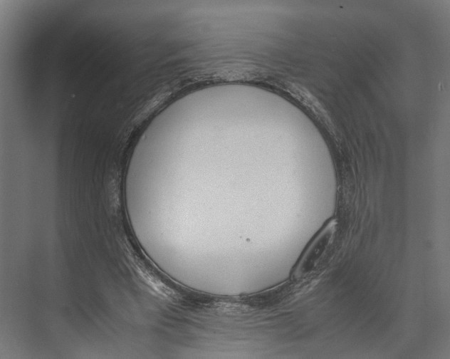 X0000071950393200608041558