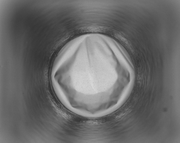 X0000071950394200608041558