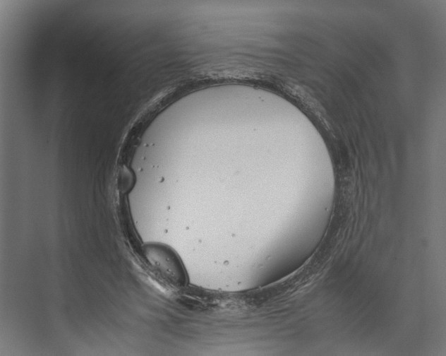 X0000071950395200608041558