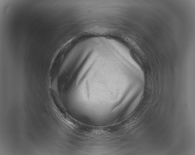 X0000071950399200608041558