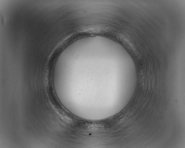 X0000071950400200608041558