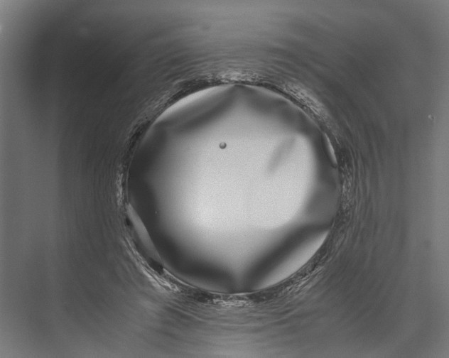 X0000071950401200608041558