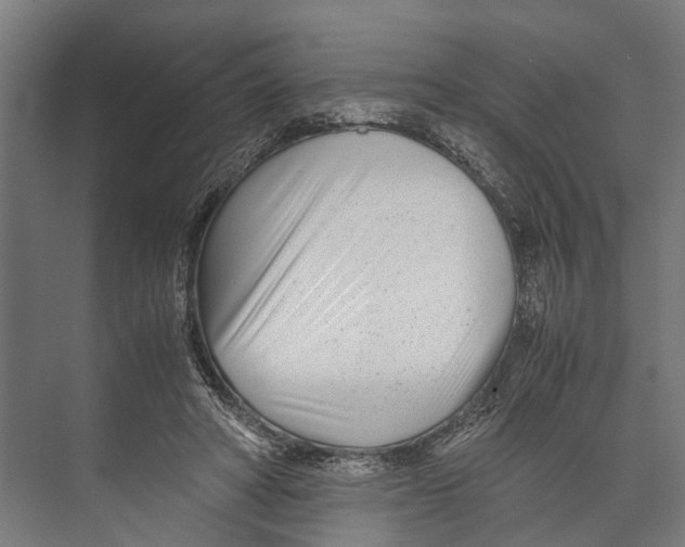 X0000071950402200608041558