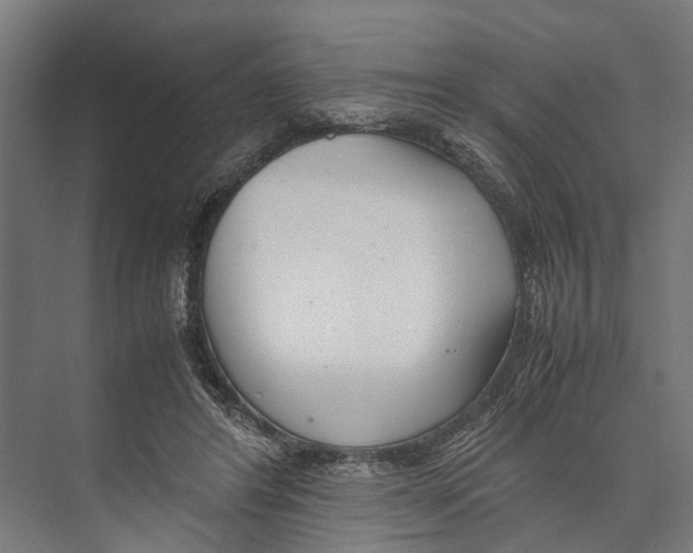 X0000071950404200608041558