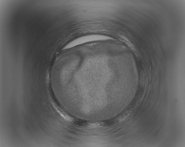 X0000071950405200608041558