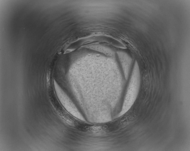 X0000071950406200608041558