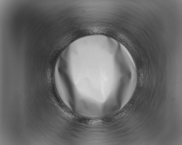 X0000071950410200608041558