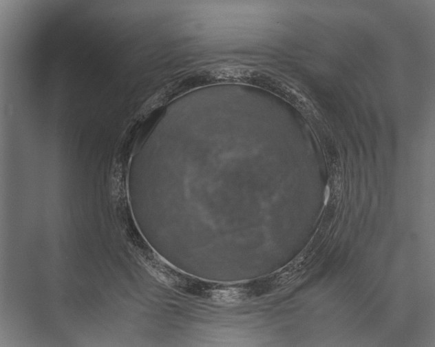 X0000071950411200608041558