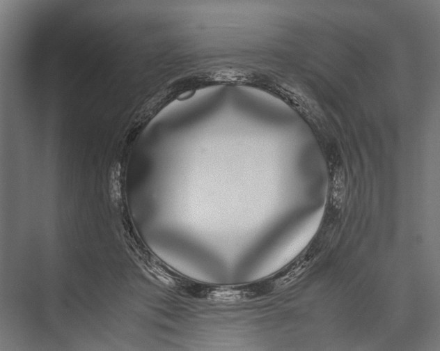 X0000071950413200608041558