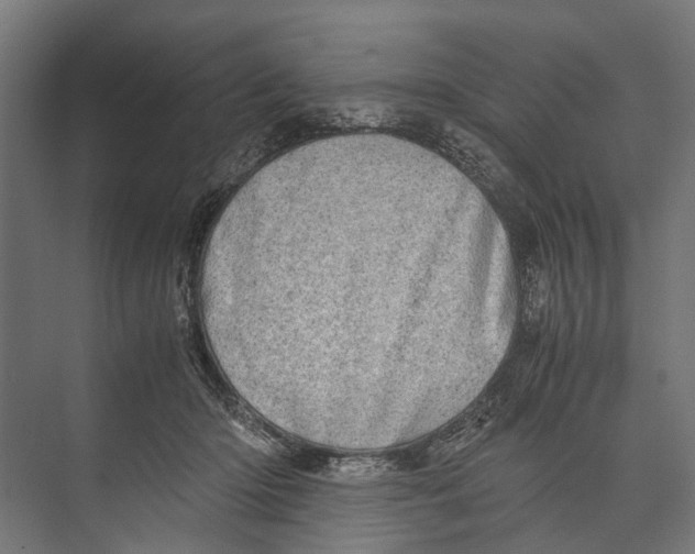 X0000071950414200608041558