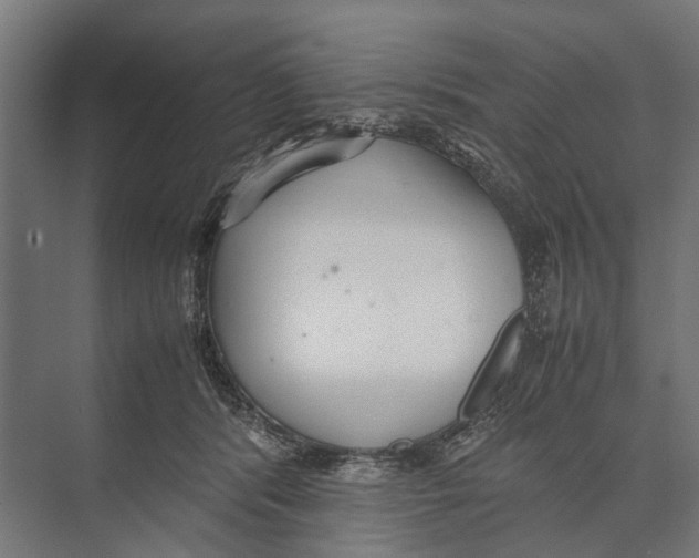 X0000071950416200608041558