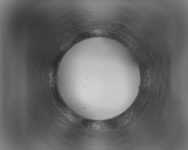 X0000071950420200608041558