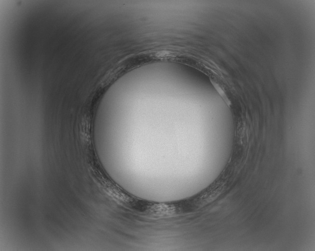 X0000071950421200608041558