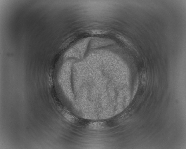 X0000071950422200608041558