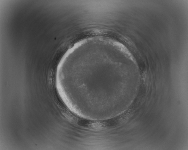 X0000071950423200608041558