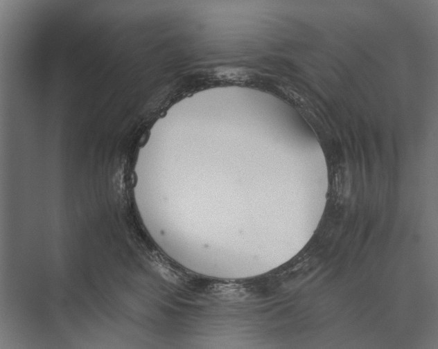 X0000071950424200608041558