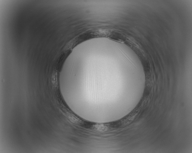 X0000071950425200608041558