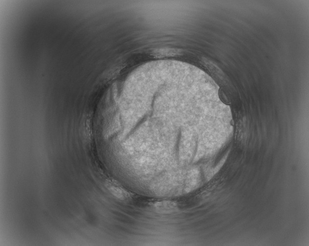 X0000071950426200608041558