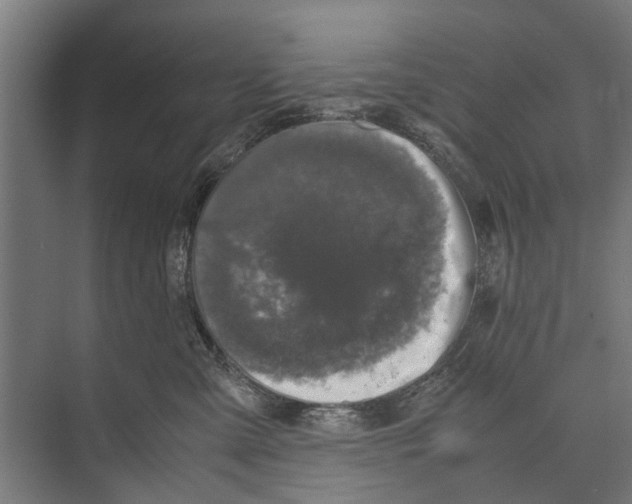 X0000071950427200608041558