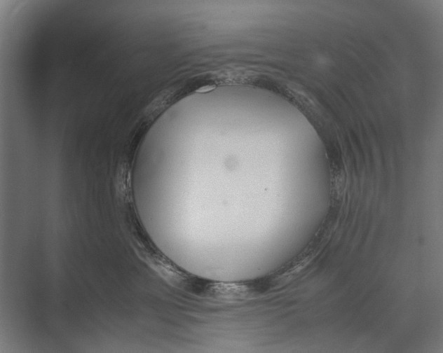 X0000071950429200608041558