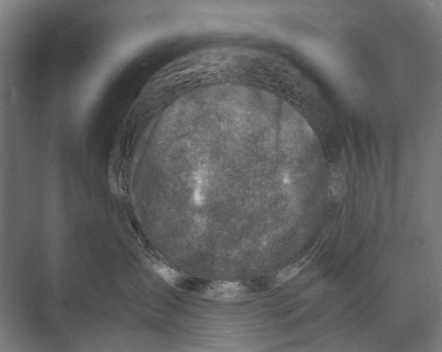 X0000071950431200608041558