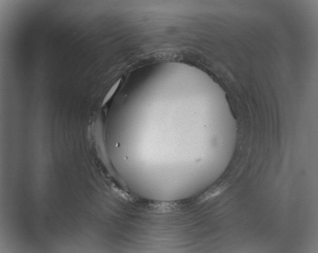 X0000071950432200608041558