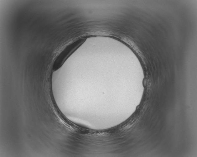 X0000071950433200608041557