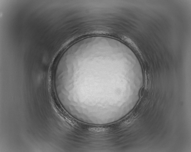 X0000071950435200608041557