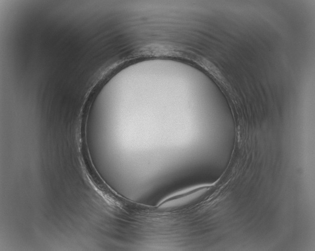 X0000071950438200608041557