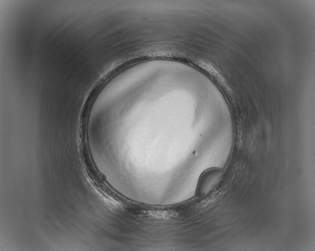 X0000071950439200608041557