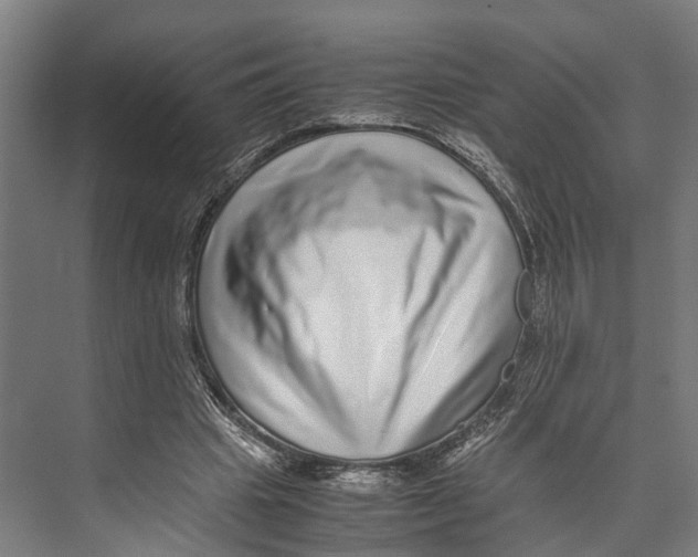 X0000071950441200608041557