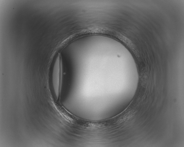 X0000071950442200608041557