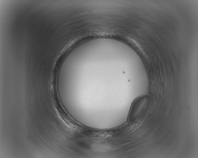 X0000071950443200608041557