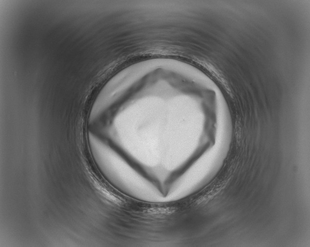 X0000071950445200608041557