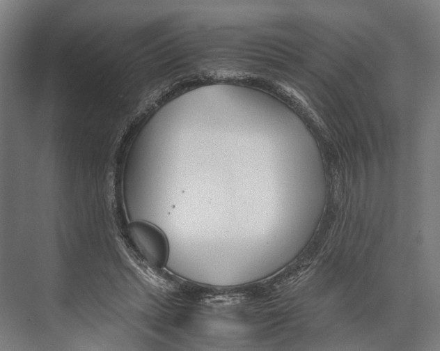 X0000071950447200608041557