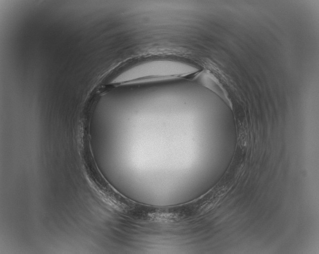 X0000071950448200608041557