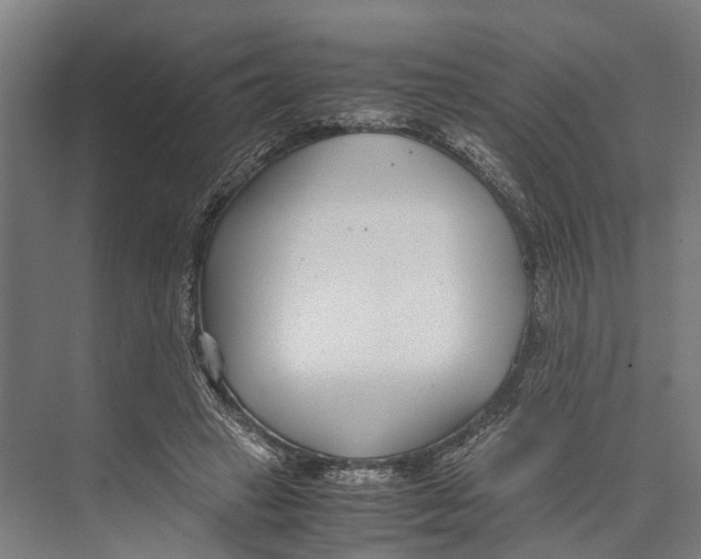 X0000071950449200608041557