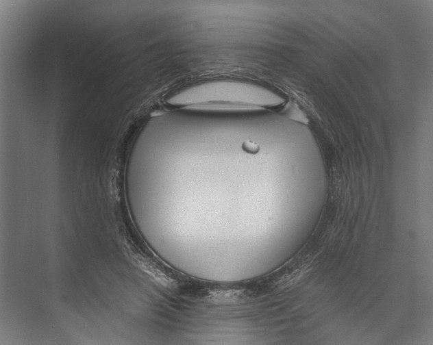 X0000071950450200608041557