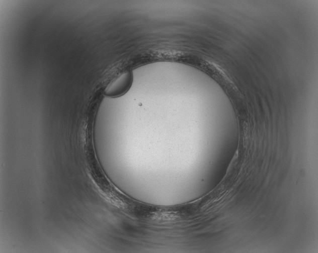 X0000071950451200608041557