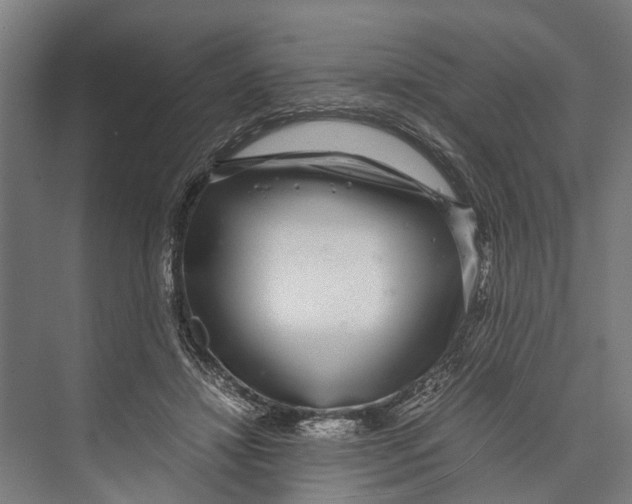 X0000071950452200608041557