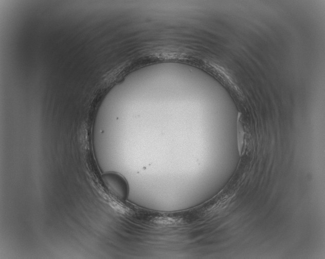 X0000071950453200608041557