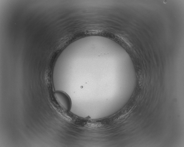 X0000071950455200608041557