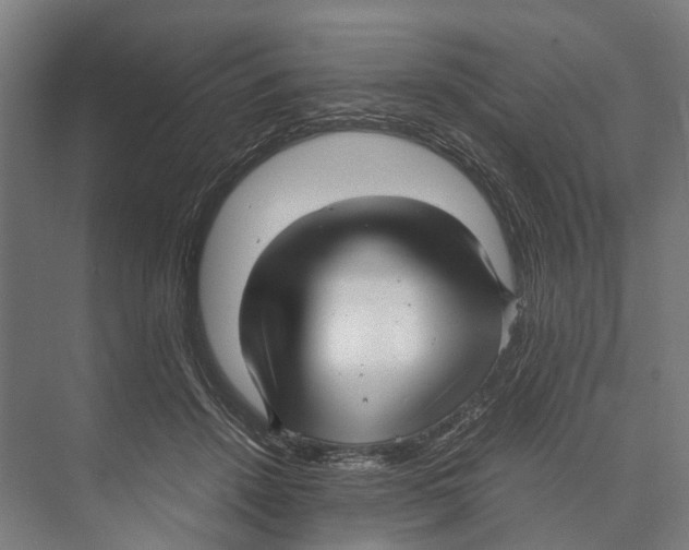 X0000071950456200608041557