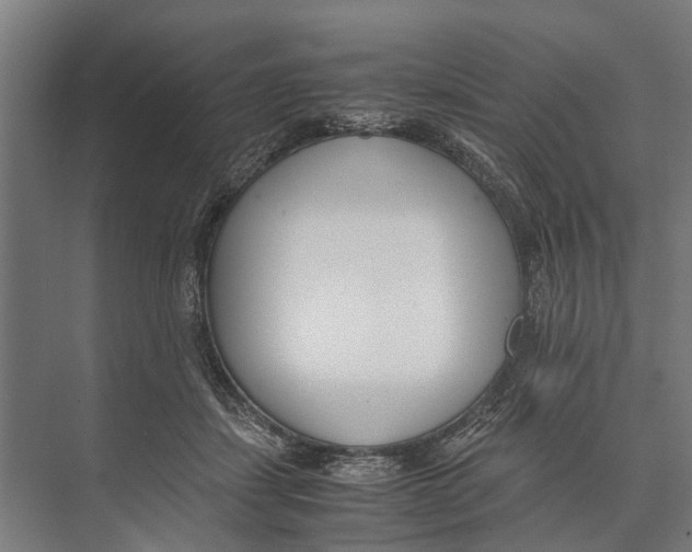 X0000071950459200608041557