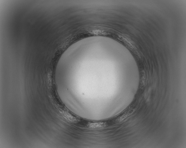 X0000071950461200608041557