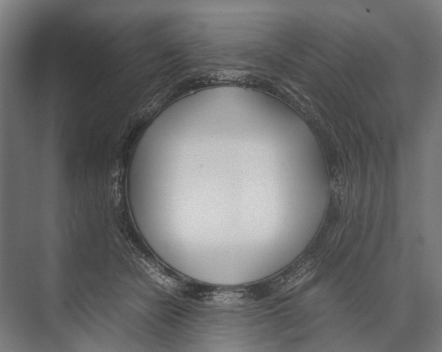 X0000071950462200608041558