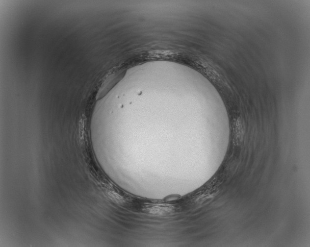 X0000071950463200608041558