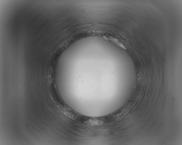 X0000071950464200608041558