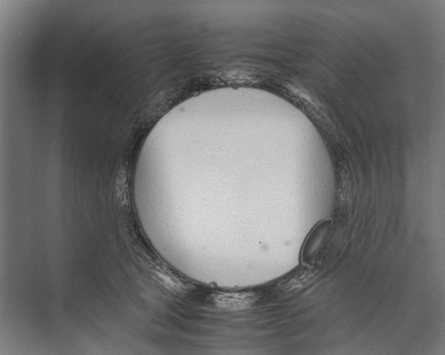 X0000071950465200608041558