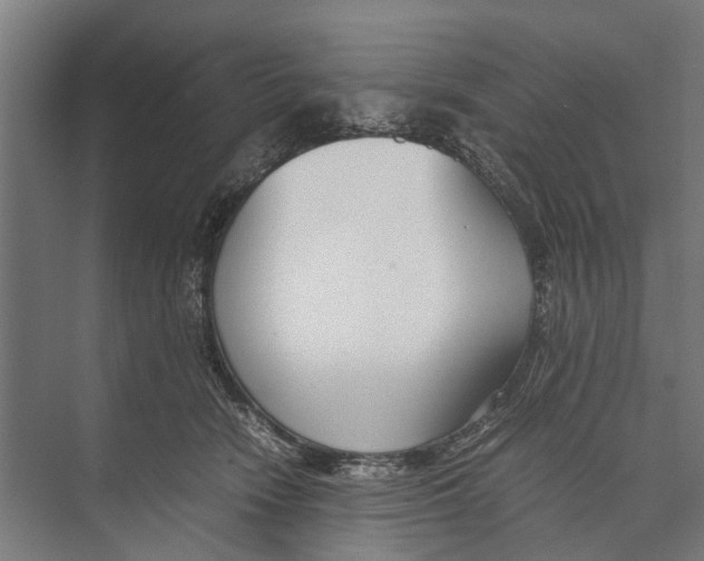 X0000071950466200608041558